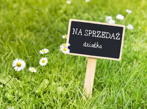 zdjęcie 2 nieruchomości