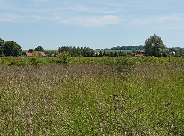 zdjęcie 3 nieruchomości