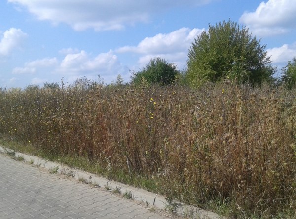 zdjęcie 3 nieruchomości