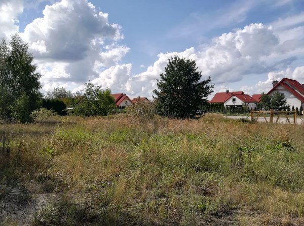 zdjęcie 2 nieruchomości
