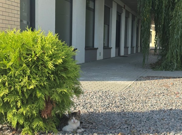 zdjęcie 1 nieruchomości