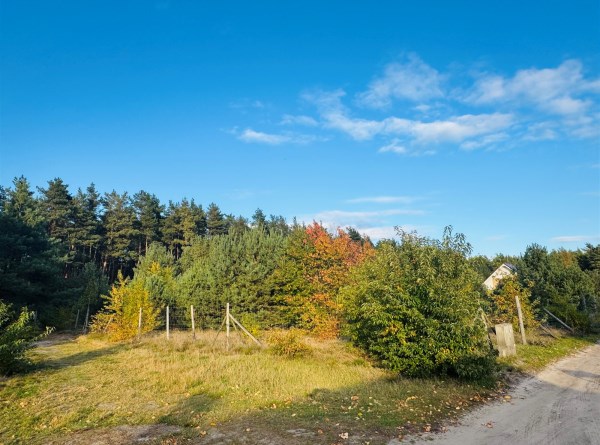 zdjęcie 1 nieruchomości