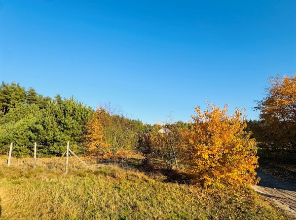 zdjęcie 0 nieruchomości