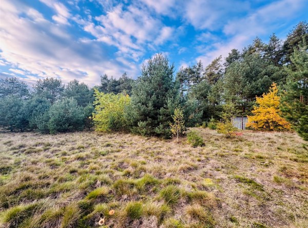 zdjęcie 0 nieruchomości