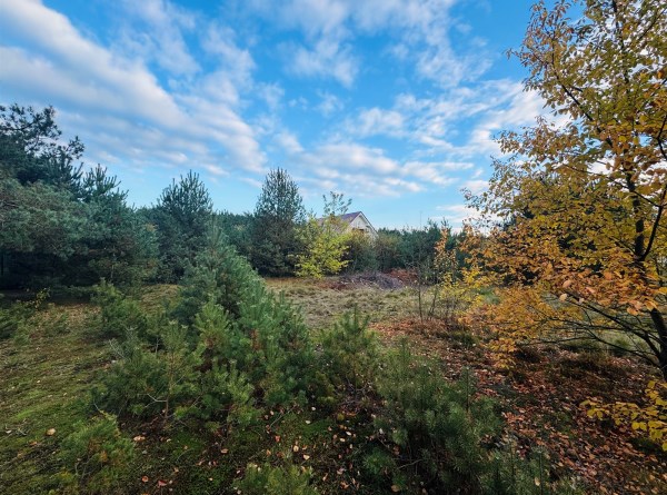 zdjęcie 0 nieruchomości