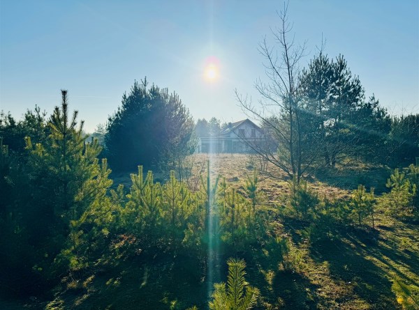 zdjęcie 0 nieruchomości