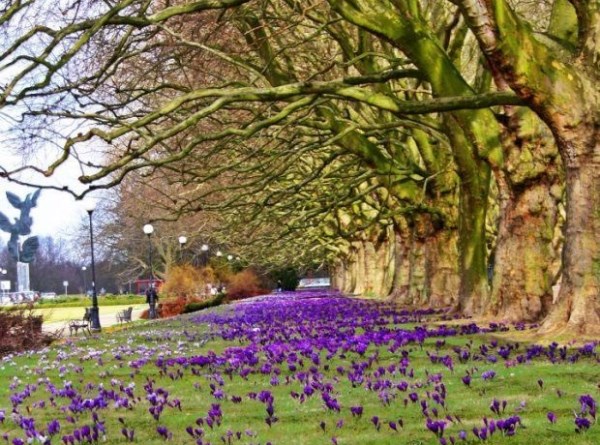 zdjęcie 2 nieruchomości